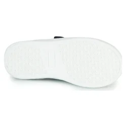 Citrouille et Compagnie - NADIR