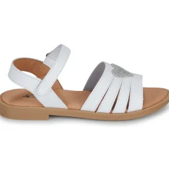 Citrouille et Compagnie - CŒUR White