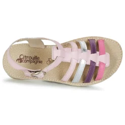 Citrouille et Compagnie - RAINA Clearance