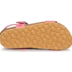 Citrouille et Compagnie - IHITO Rose