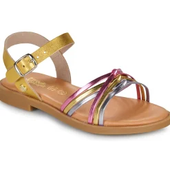 Citrouille et Compagnie - DAISY Gold Clearance