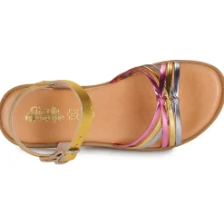 Citrouille et Compagnie - DAISY Gold Clearance