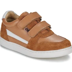 Citrouille et Compagnie - BETEIZ