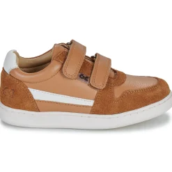 Citrouille et Compagnie - BETEIZ