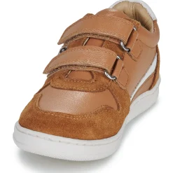 Citrouille et Compagnie - BETEIZ