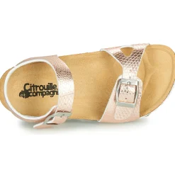 Citrouille et Compagnie - RELUNE