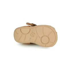 Citrouille et Compagnie - RINE