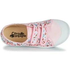 Citrouille et Compagnie - GLASSIA Clearance