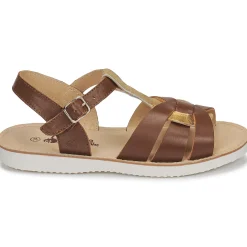 Sale Citrouille et Compagnie - MINOTTE