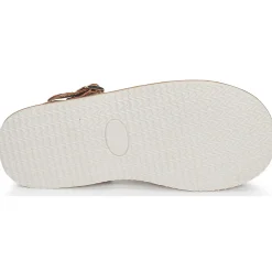 Sale Citrouille et Compagnie - MINOTTE