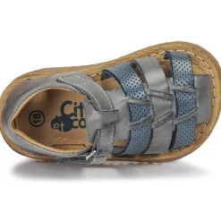 Citrouille et Compagnie - MISTIGRI