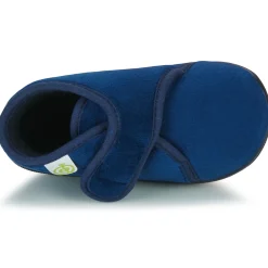 Citrouille et Compagnie - HALI