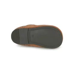 Citrouille et Compagnie - PAULO