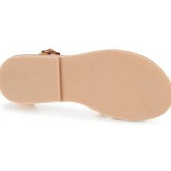 Citrouille et Compagnie - GITANOLO