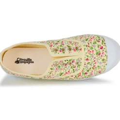 Sale Citrouille et Compagnie - WOODEN