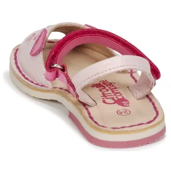 Citrouille et Compagnie - ILOUDFI