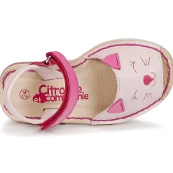 Citrouille et Compagnie - ILOUDFI