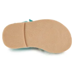 Citrouille et Compagnie - MIETTE