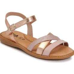 Sale Citrouille et Compagnie - IZOEGL Rose