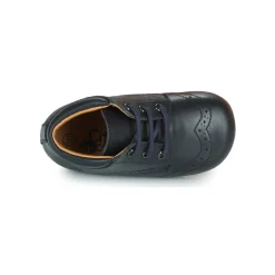 Hot Citrouille et Compagnie - PAULO Marine