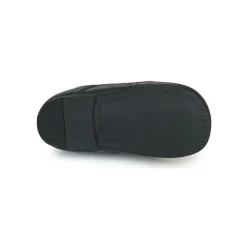 Hot Citrouille et Compagnie - PAULO Marine