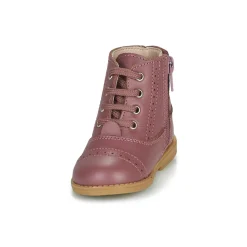 Citrouille et Compagnie - PUMBAE Rose