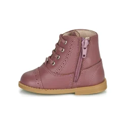 Citrouille et Compagnie - PUMBAE Rose