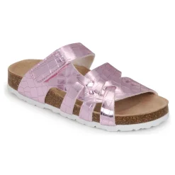 Citrouille et Compagnie - WAOUH Rose Online