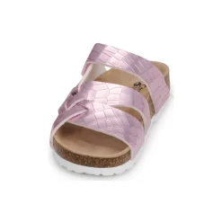 Citrouille et Compagnie - WAOUH Rose Online