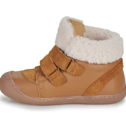 Citrouille et Compagnie - NEBULI Camel