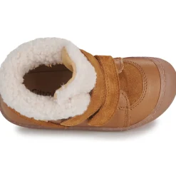 Citrouille et Compagnie - NEBULI Camel