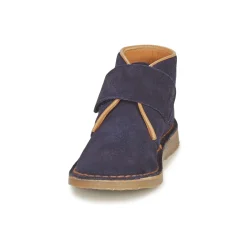 Citrouille et Compagnie - NANUP Marine New