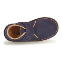 Citrouille et Compagnie - NANUP Marine New