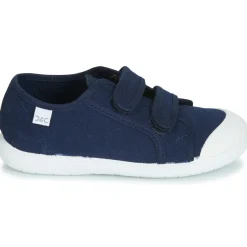 Citrouille et Compagnie - GLASSIA