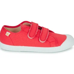 Citrouille et Compagnie - MINOT