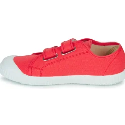 Citrouille et Compagnie - MINOT