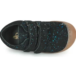 Citrouille et Compagnie - PIOTE Bleu