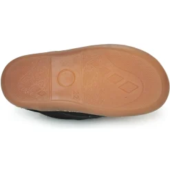 Citrouille et Compagnie - PIOTE Bleu