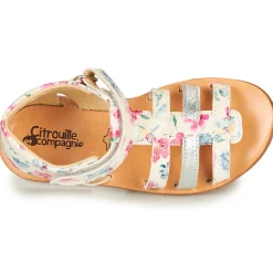 Online Citrouille et Compagnie - MIDINA Multicolore