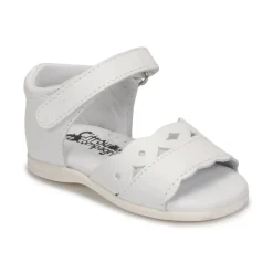 Citrouille et Compagnie - MINUS