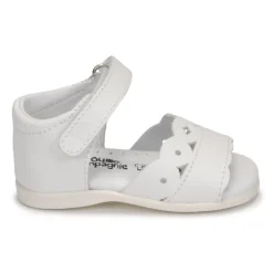 Citrouille et Compagnie - MINUS