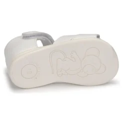 Citrouille et Compagnie - MINUS