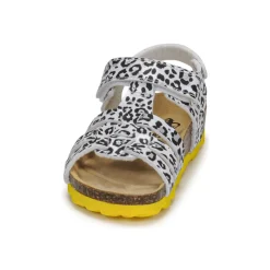 Citrouille et Compagnie - JANISOL