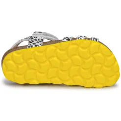 Citrouille et Compagnie - JANISOL