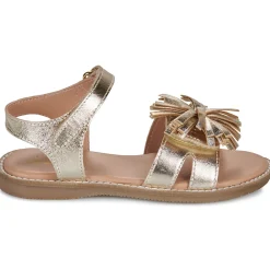 Citrouille et Compagnie - PETALE