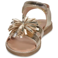 Citrouille et Compagnie - PETALE