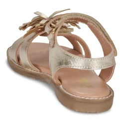 Citrouille et Compagnie - PETALE