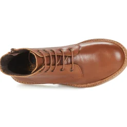 Citrouille et Compagnie - HATINE