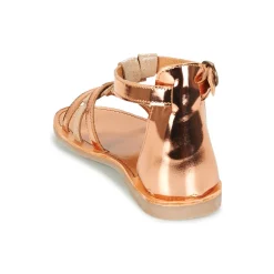 Citrouille et Compagnie - GITANOLO Discount