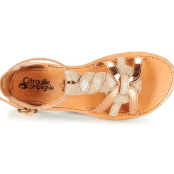 Citrouille et Compagnie - GITANOLO Discount